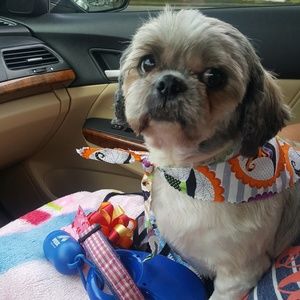 Meet your Posher, Robert