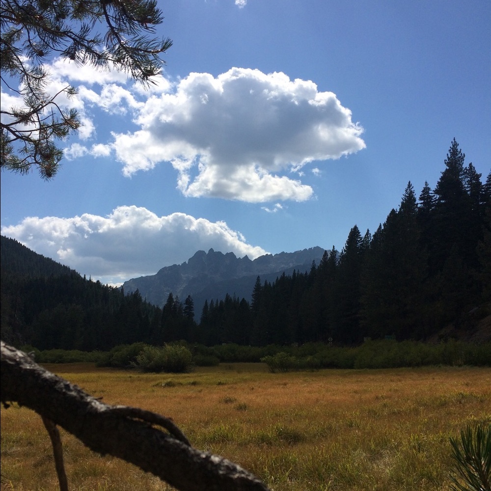 Meet your Posher, Georgia