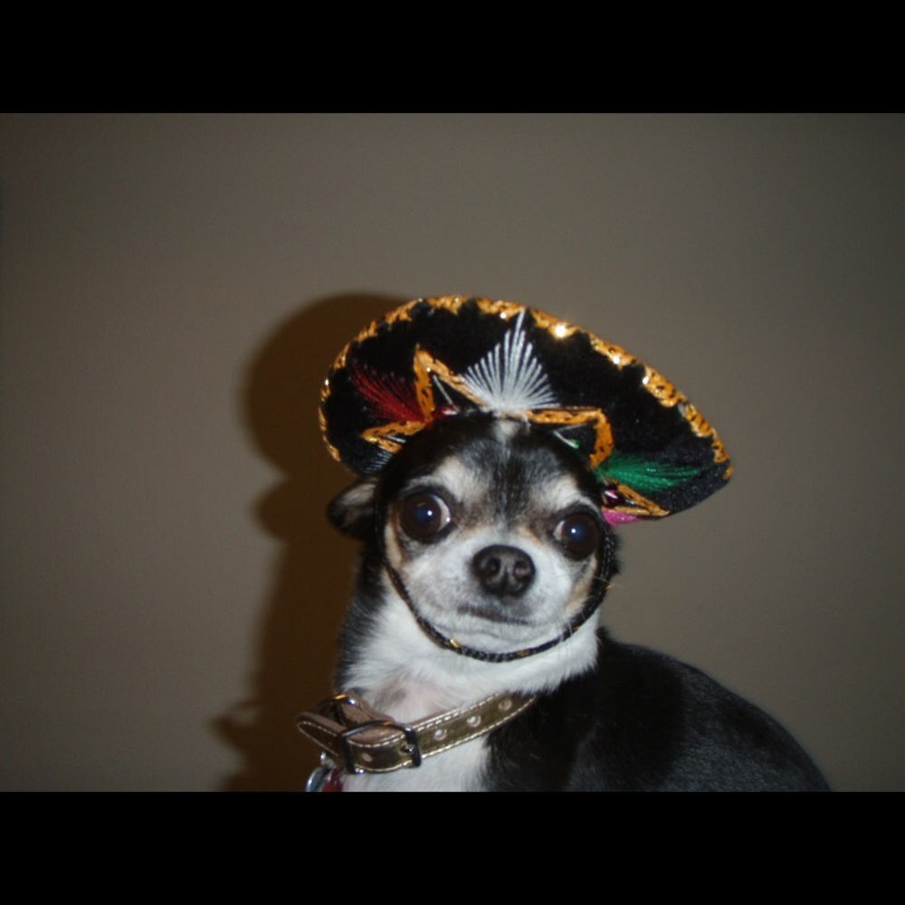 Meet your Posher, Gerardo