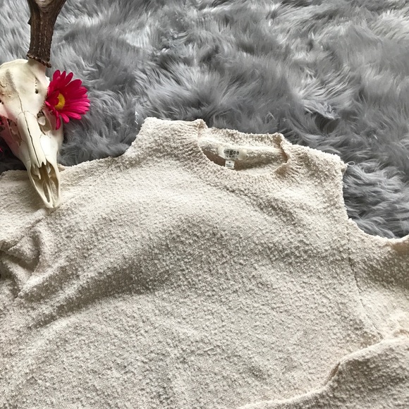 CeEaM LaDdEr/CoLd ShOuLdEr SwEaTeR - Picture 5 of 8