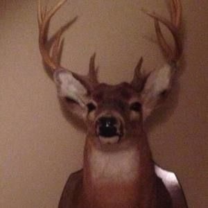 Meet your Posher, Darren