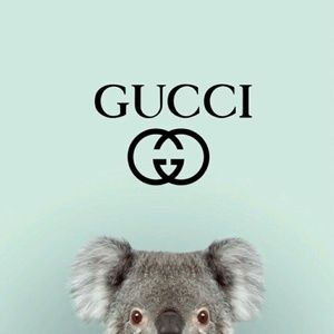 Meet your Posher, Dylan