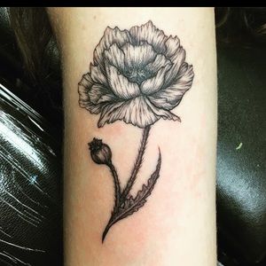 Meet your Posher, Gaby