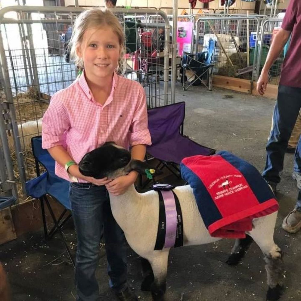 Meet your Posher, Annie