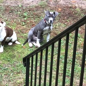 Meet your Posher, Paris