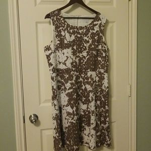 Brown/white dress New W/O tags