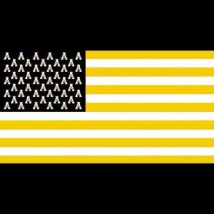 Meet your Posher, Cassie