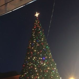 Meet your Posher, Anu