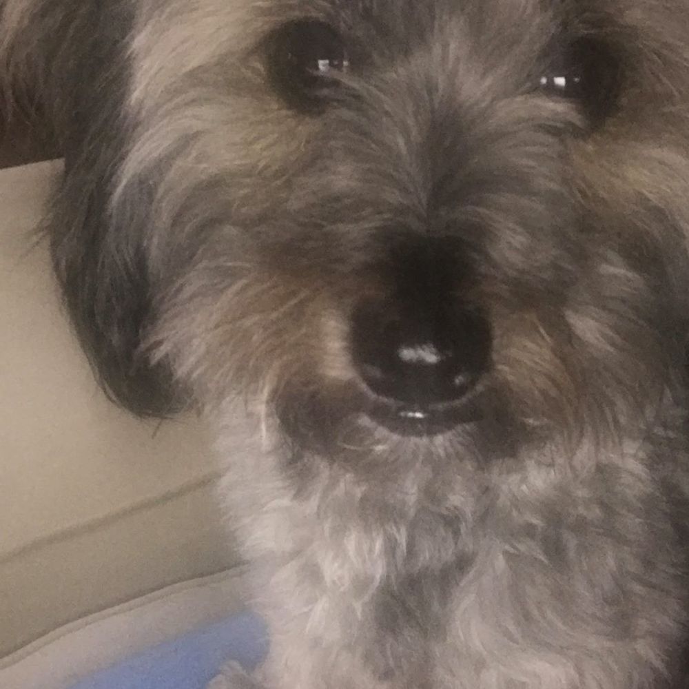 Meet your Posher, Angelica