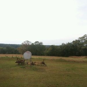 Meet your Posher, Cortney