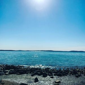 Meet your Posher, Sydney