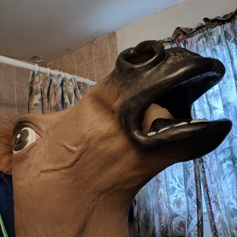 Horse mask