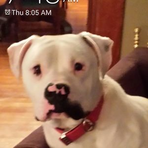 Meet your Posher, Julie