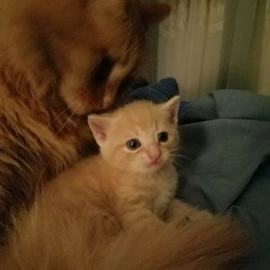 Meet your Posher, Tonya