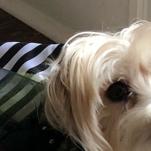 Meet your Posher, Melissa