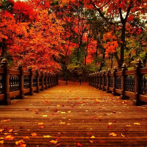 Meet your Posher, Ashley - Picture 1 of 1