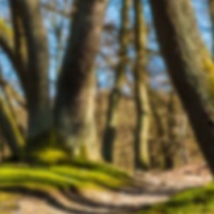 Meet your Posher, Cathryne