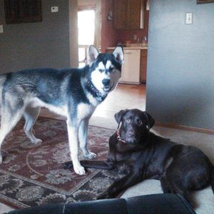 Meet your Posher, Jeffrey