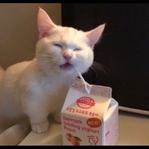 Meet your Posher, Carolina