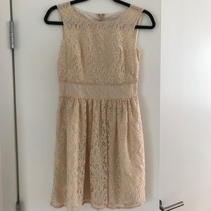 Loft Shimmer Lace Dress in Pale Praline - 0 petite