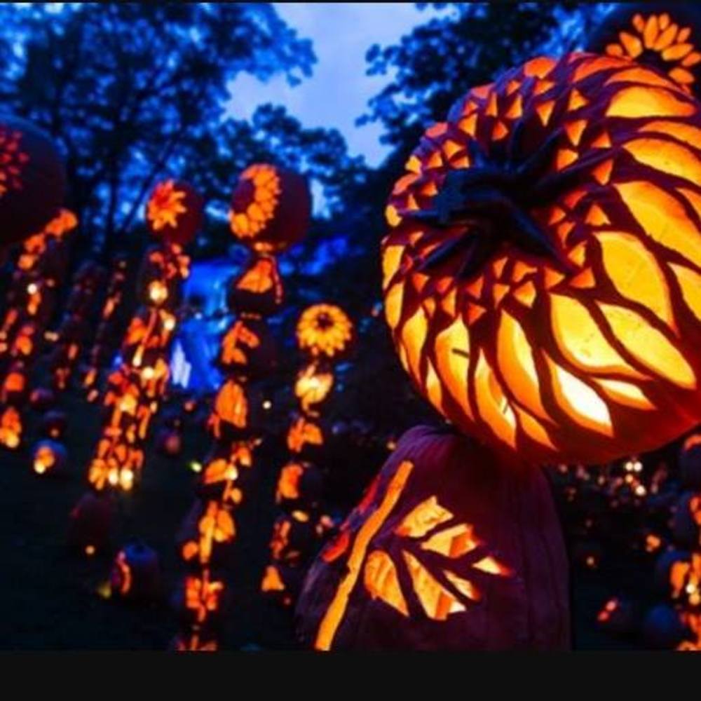 Meet your Posher, Tess