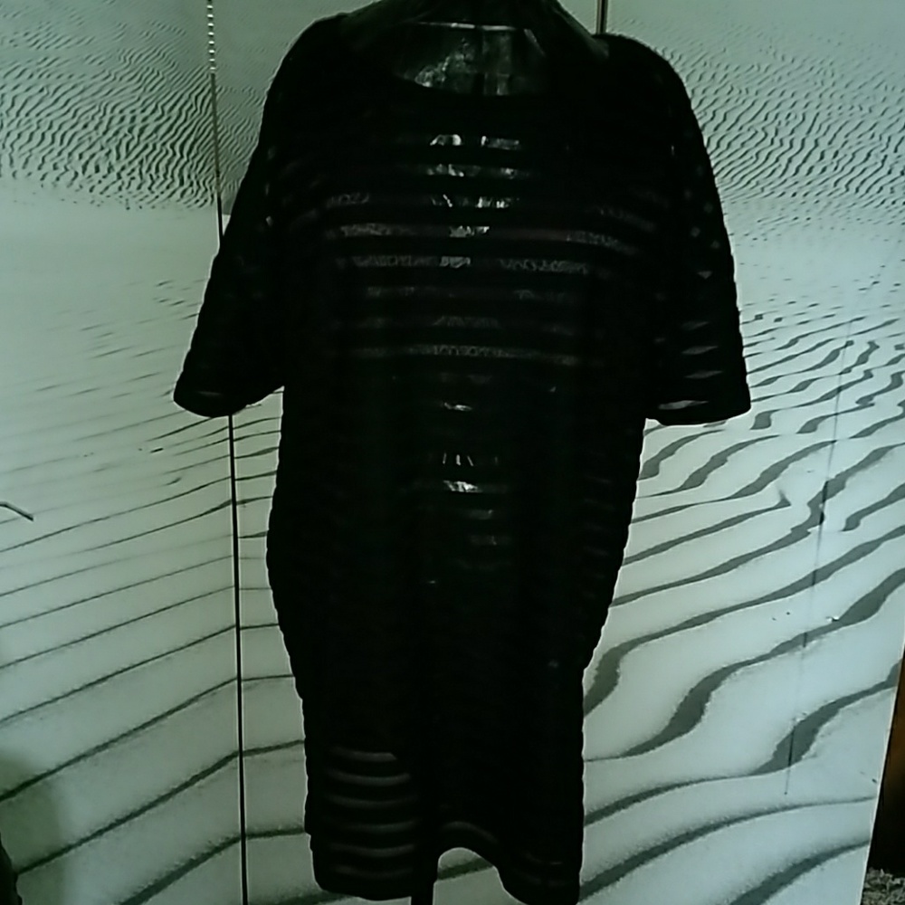 Forever 21 Transparent Striped Tunic