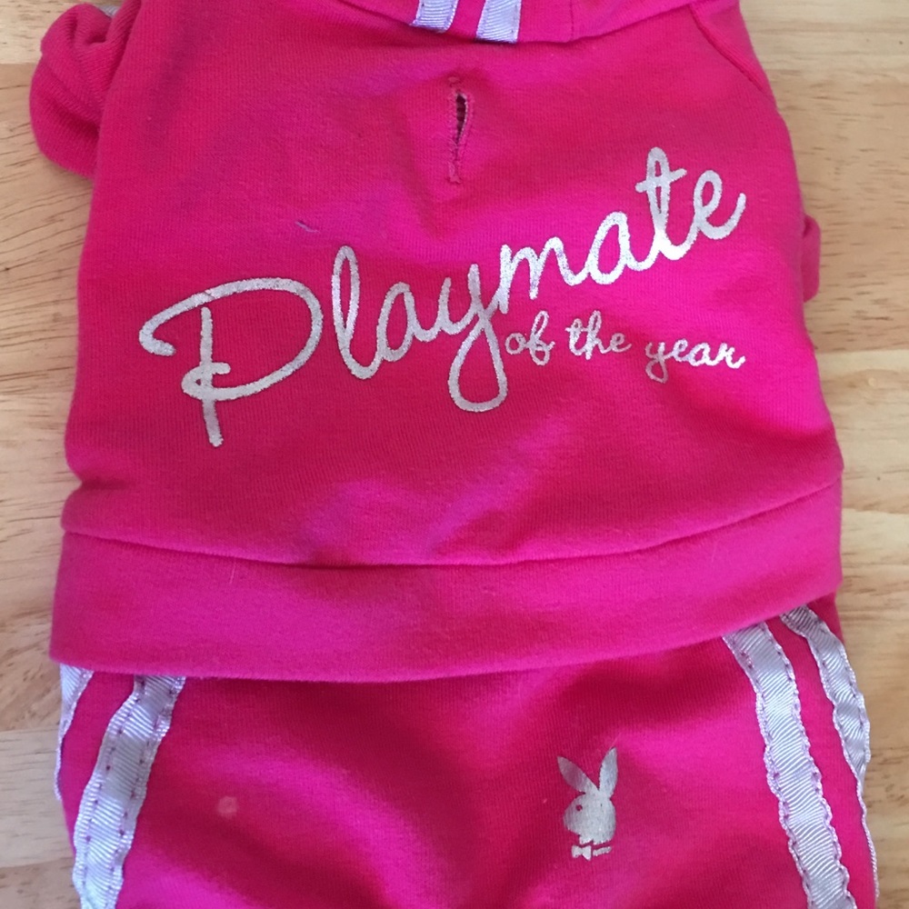 New Hooded Playboy Dog Clothes