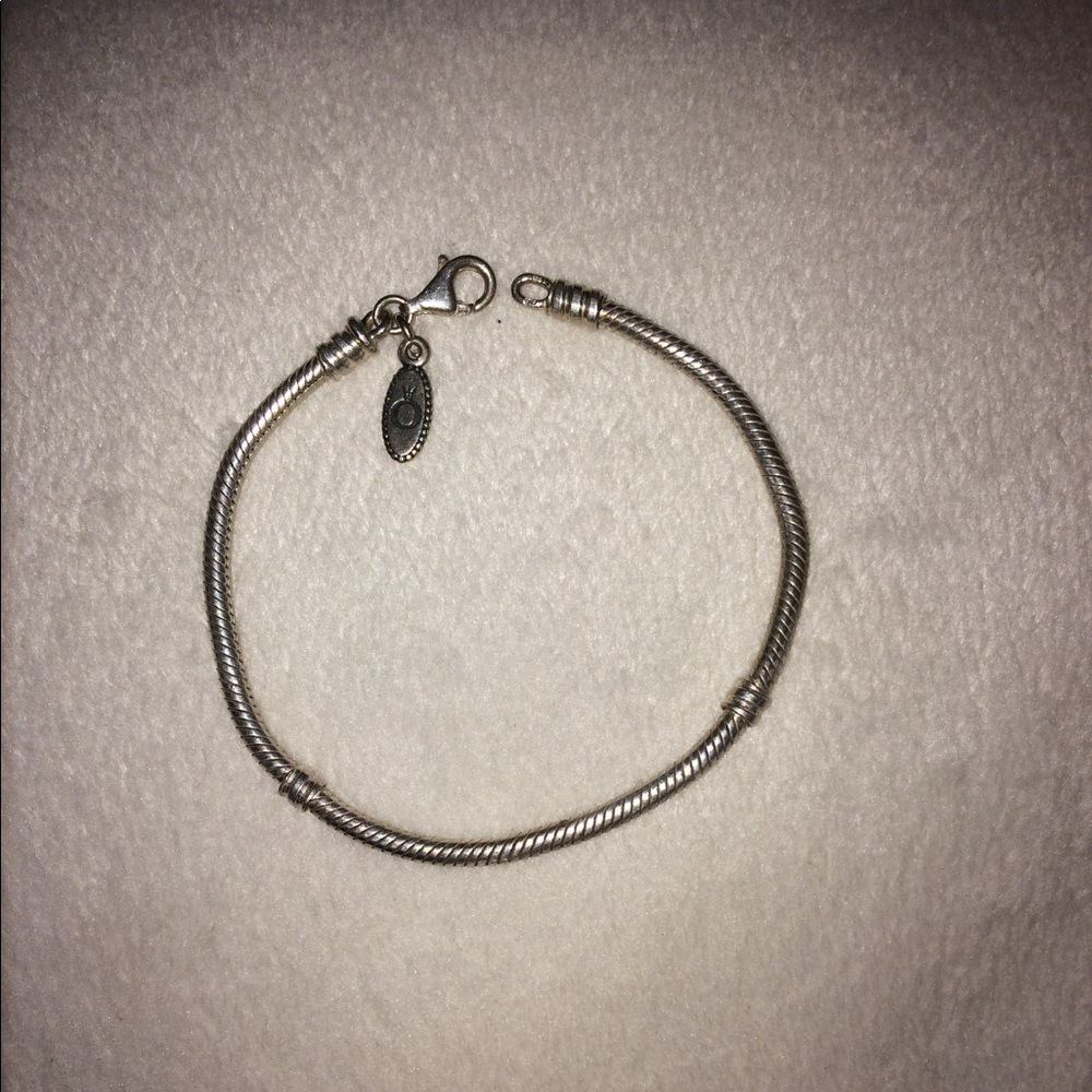 Pandora charm bracelet