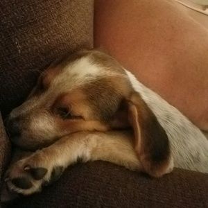 Meet your Posher, Tracey