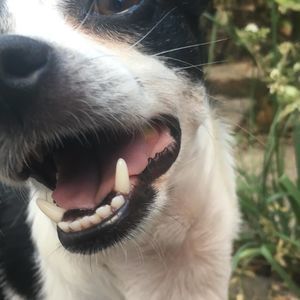 Meet your Posher, Lauryn