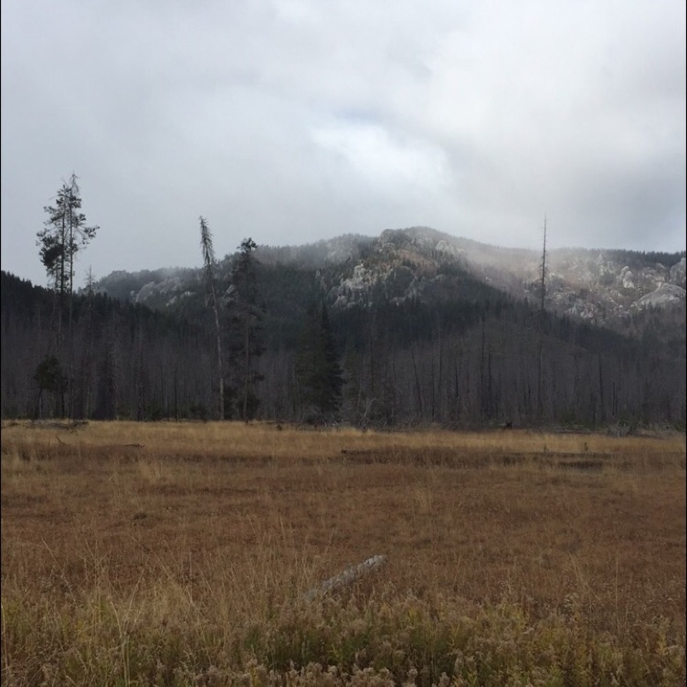 Meet your Posher, Julie