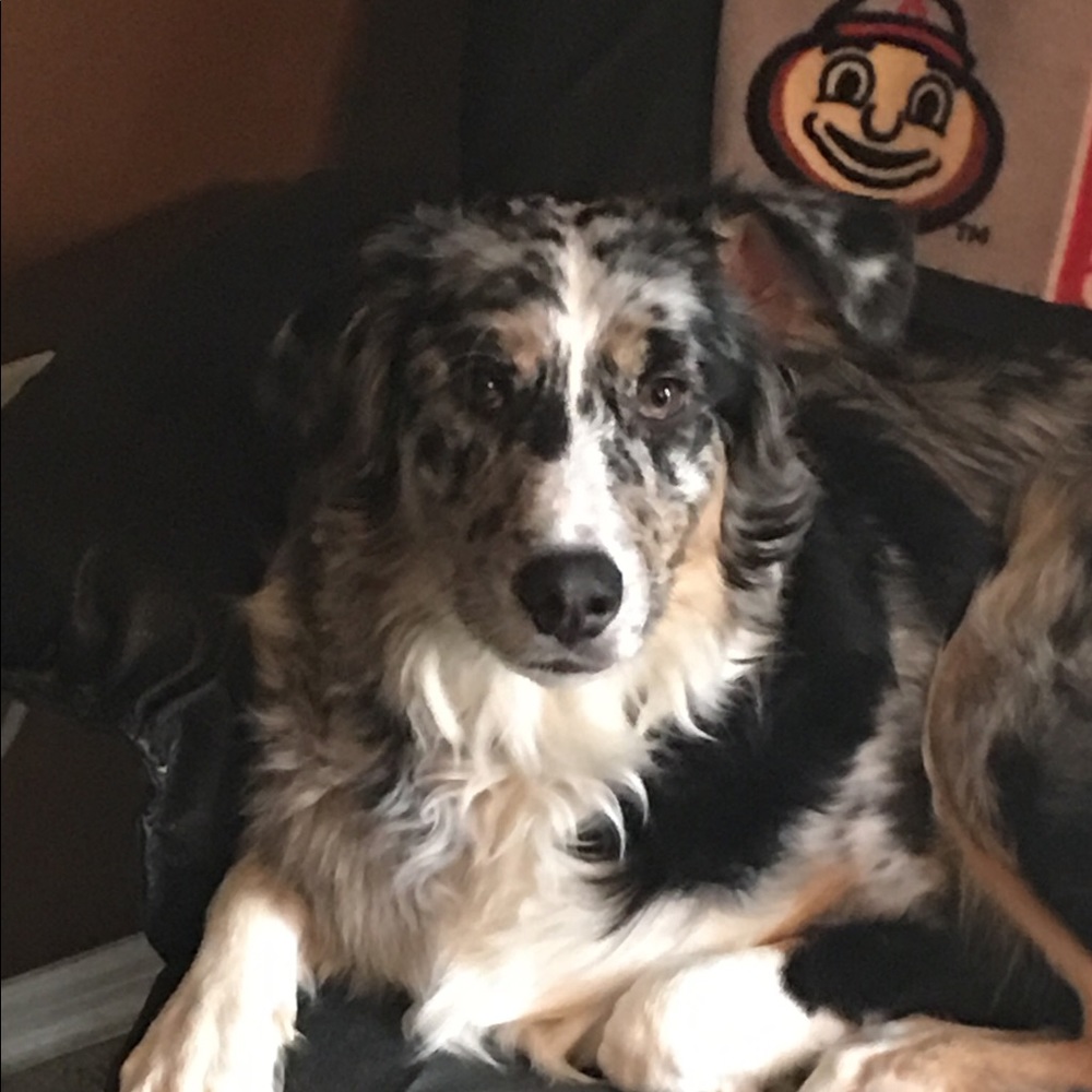 Meet your Posher, Mary