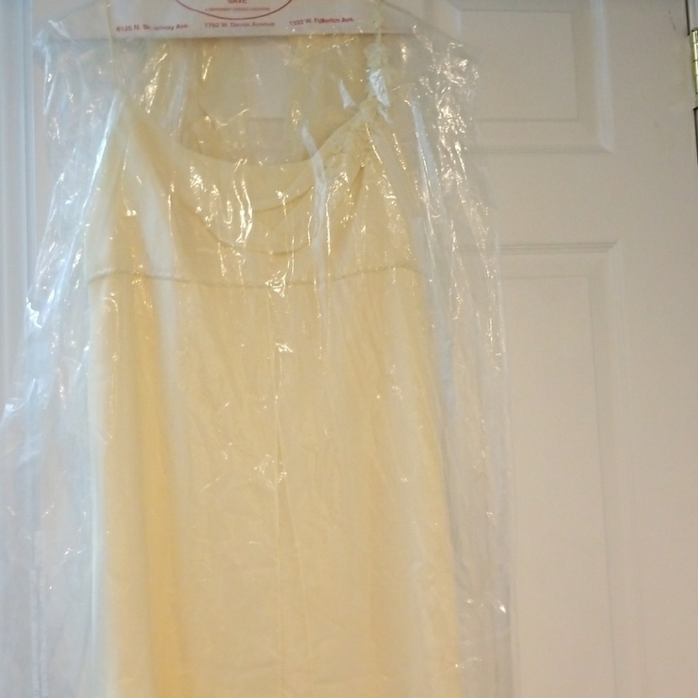David's Bridal formal gown.