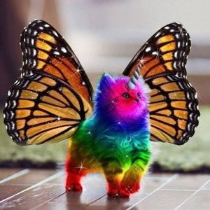 Meet your Posher, Rosa