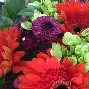 Meet your Posher, Debra