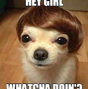 Meet your Posher, Vikki