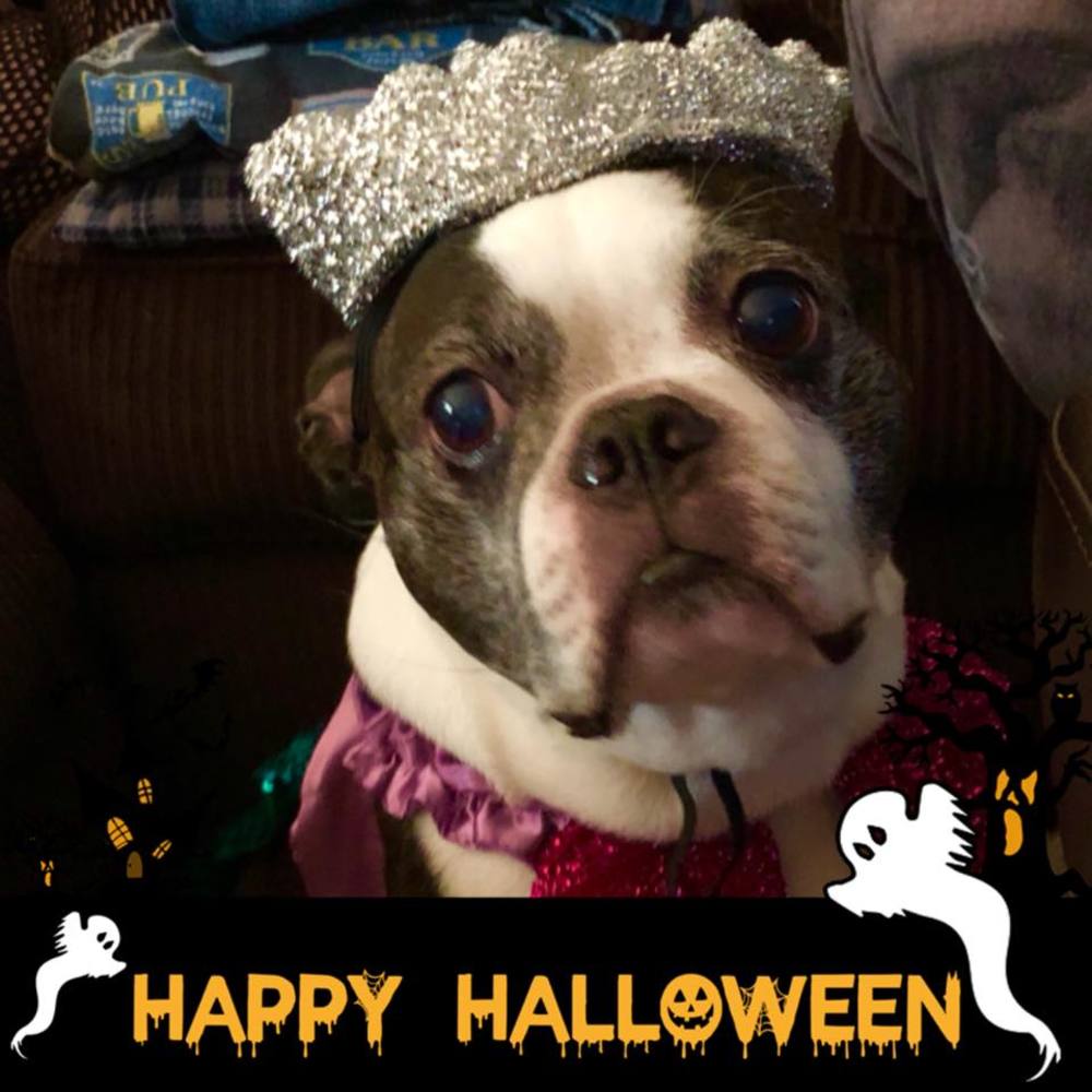 Meet your Posher, Christie