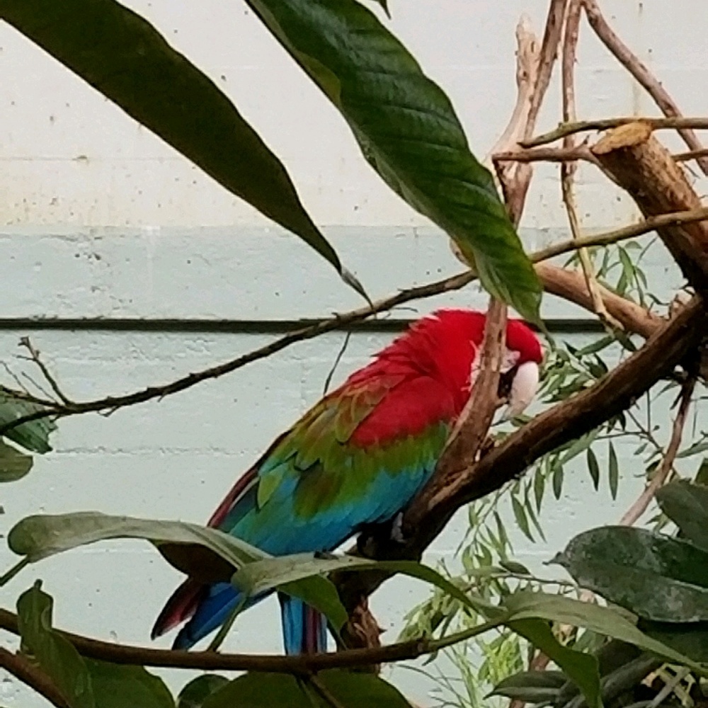 Meet your Posher, Angelic