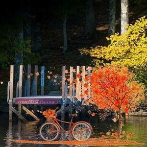 Meet your Posher, Wendy