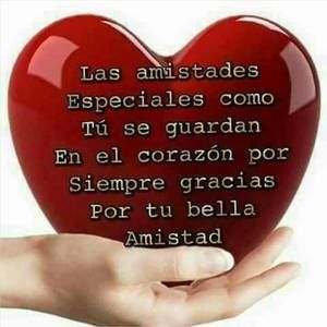 Meet your Posher, Rony