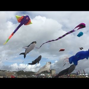 Meet your Posher, Cynthia