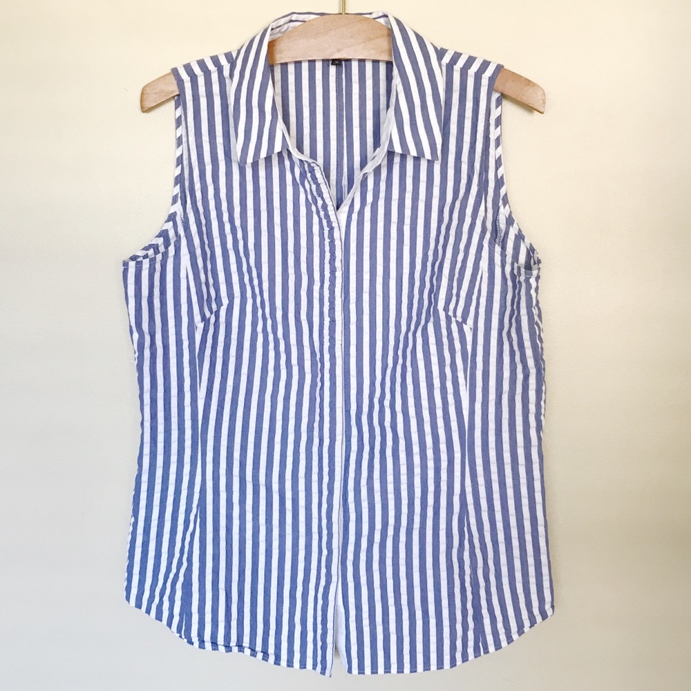 Lafeyette 148 sleeveless Chambray striped blouse