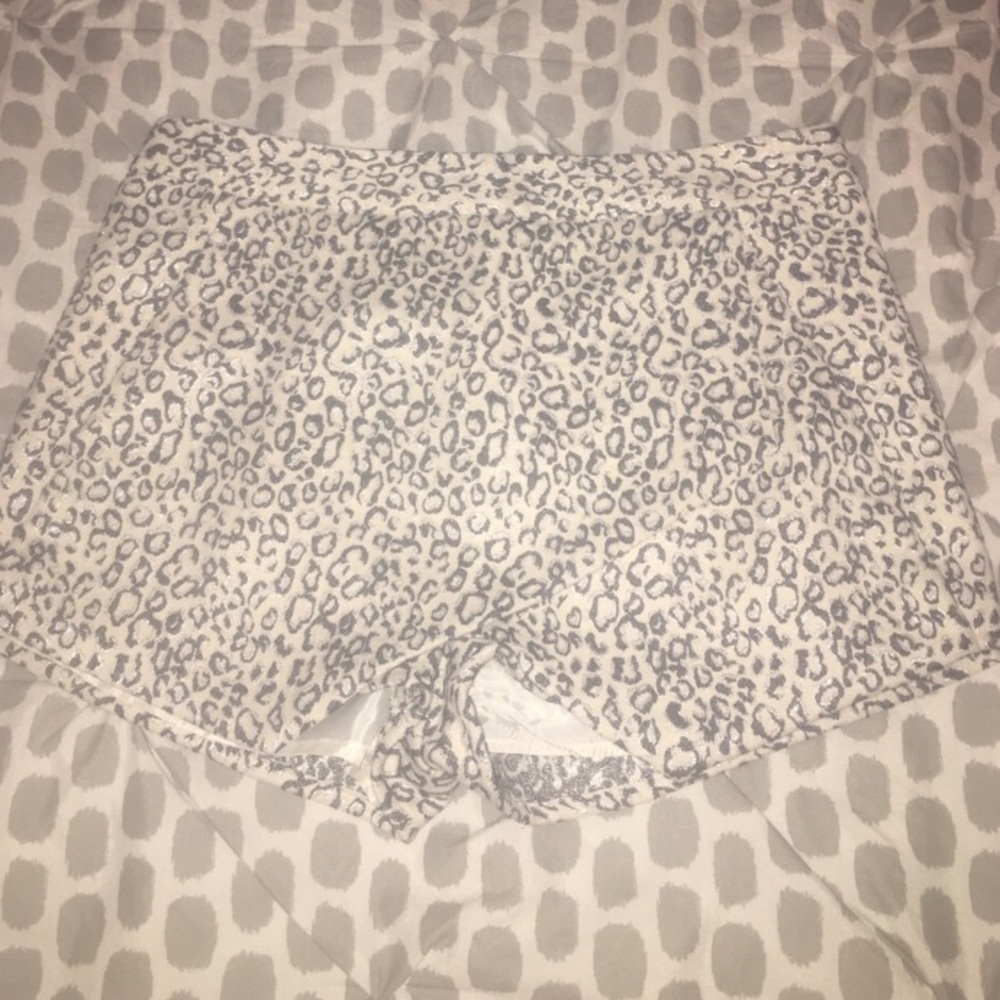 Envelope Express Shorts