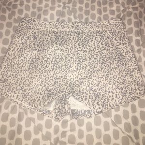 Envelope Express Shorts