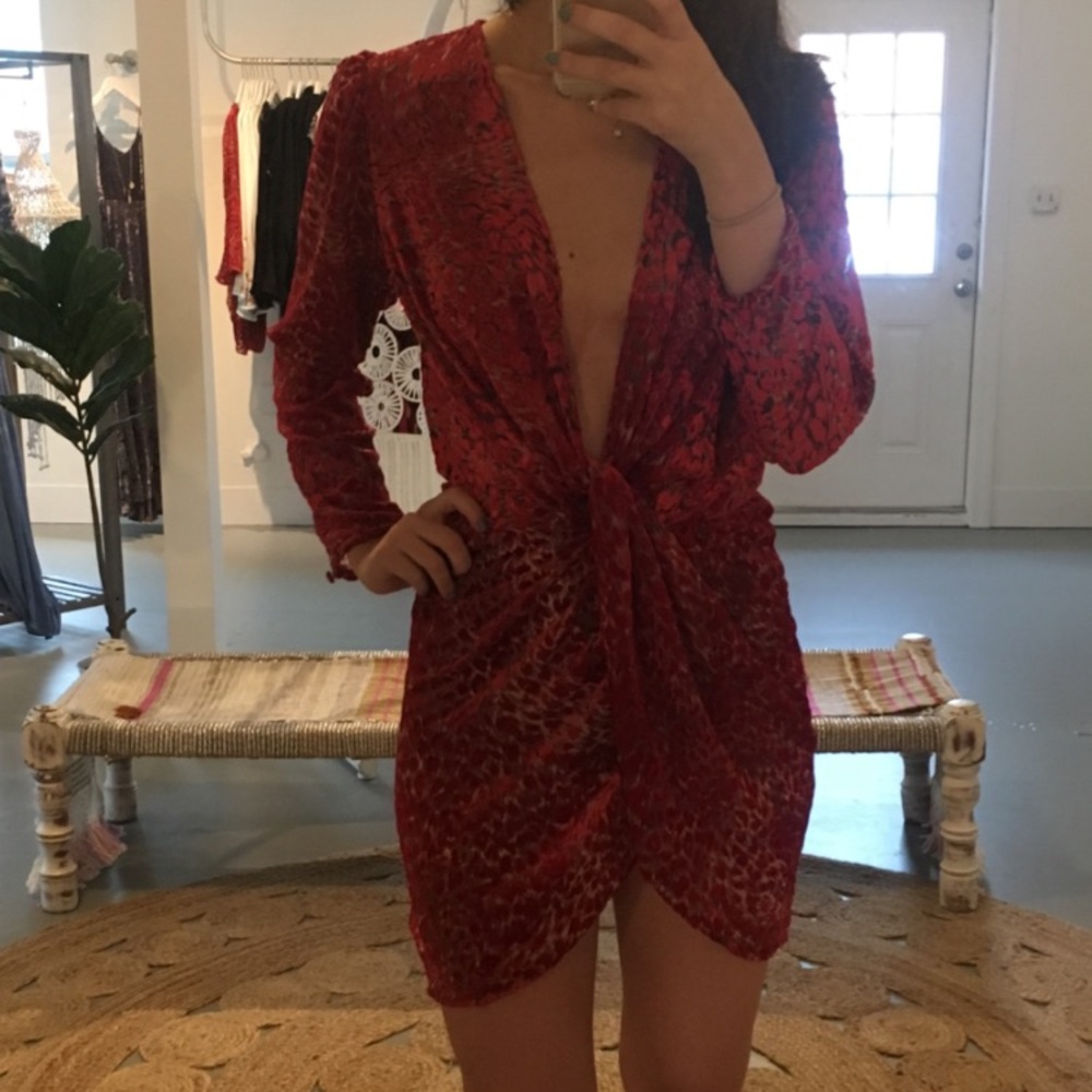 Velvet Burnout Cheetah Dress