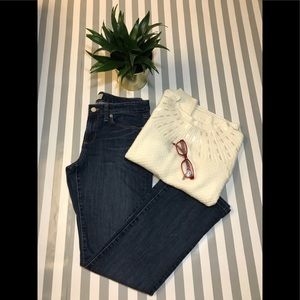 Banana Republic Slim bootcut jeans size 28/6P