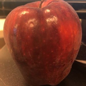 Meet your Posher, Tanya