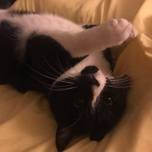 Meet your Posher, Drew