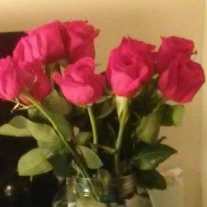 Meet your Posher, Latasha