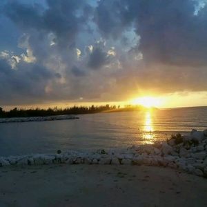 Meet your Posher, Shanetta